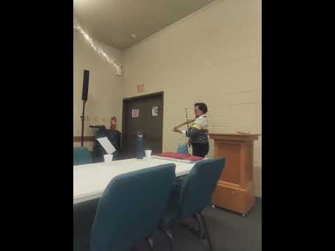 Jensen 6-string Electric Violin image 6