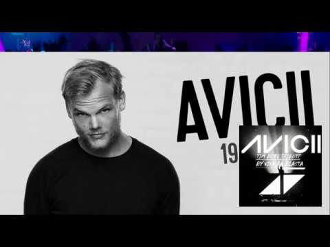 TIM BERG TRIBUTE (BEST OF AVICII) VLB 2018