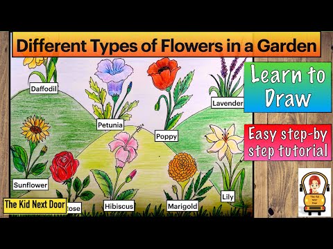 How to Draw Different types of Flowers in a Garden |...
