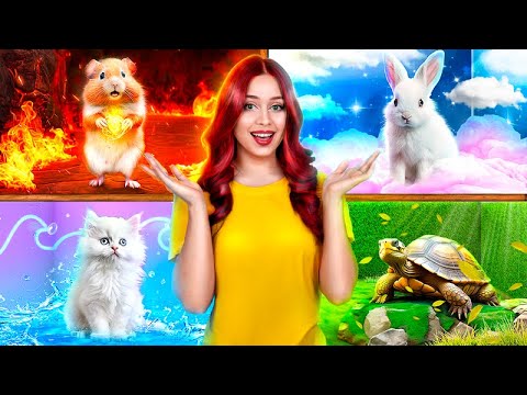 We Build Secret Rooms! Secret Rooms for 4 Elements Pets