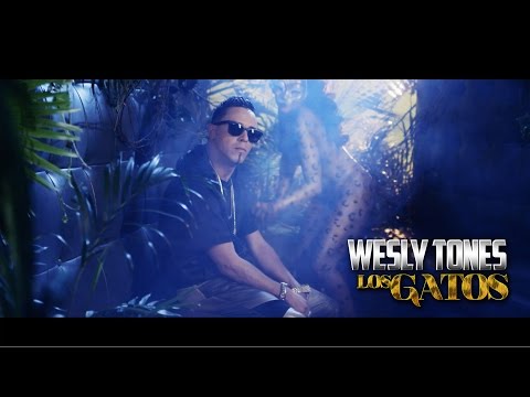 Wesly Tones - Los Gatos