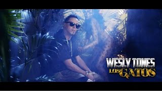 Wesly Tones - Los Gatos
