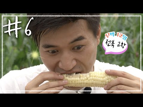 [무박 n일????밤샘 방구석 여행????][전라도] #6 전북 고창, 농활 체험 | KBS 110710, 17 방송