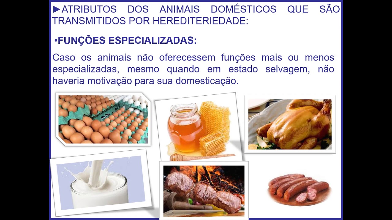 DOMESTICAÇÃO DOS ANIMAIS