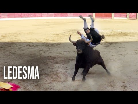 Toros Bravos Ledesma 2022 Concurso de Recortes