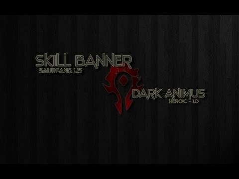 Skill Banner vs Heroic Dark Animus 10 Man - Warlock PoV