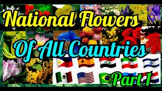 NATIONAL FLOWERS OF ALL COUNTRIES PART 1 (LETTER A-C) || NATIONAL FLOWERS 2021||SYMBOL AND MEANING