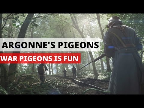 BATTLEFIELD 1 WAR PIGEON GAMEPLAY ARGONNE FOREST | BF1