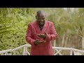 ABBA SKiza Code 9840847