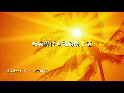 Self-Liberation through Seeing with Naked Awareness 無染覺性直觀解脫之道 (全文)  Audio
