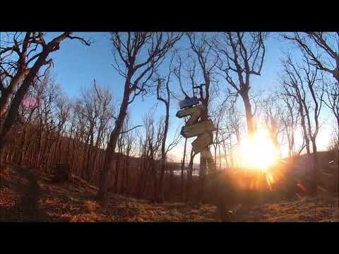 Börzsöny Vulkántúra -2025