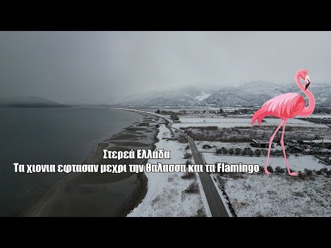 «Χιονιάς Μπάρμπαρα»: Τα χιόνια κάλυψαν την Στερεά Ελλάδα και έφτασαν μέχρι τα Flamingos