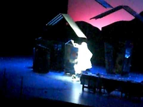 LE TEMPS DES GITANS 2008