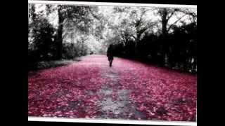 Ragazzi - Si te vas a ir