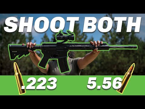 What Is 223 Wylde? (Is It Worth It?)