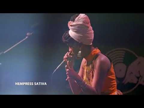 The Scientist and Hempress Sativa live at The Triple Rock in Minneapolis