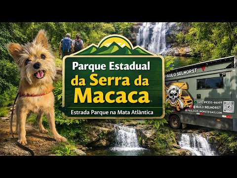 PARQUE DA SERRA DA MACACA - Mata Atlântica - Sete Barras - SP  #levyselhorst  #pauloselhorst