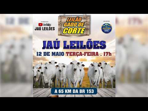 LEILÃO GADO DE CORTE  - JAU LEILÕES  - JAU DO TOCANTINS  -12 / 05 / 2026