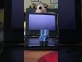 Happy Tree Friends Petunia Watches The THX Logo