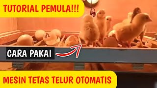 Download lagu TUTORIAL!!! HOW TO USE AN AUTOMATIC EGG HATCHING MACHINE FOR BEGINNERS mp3