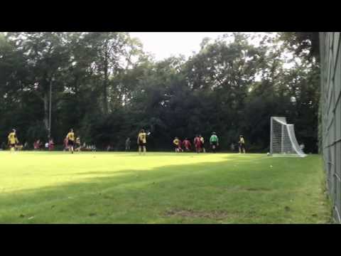 SpVgg. 03 Neu-Isenburg - SV Geinsheim 3:0 (2:0)