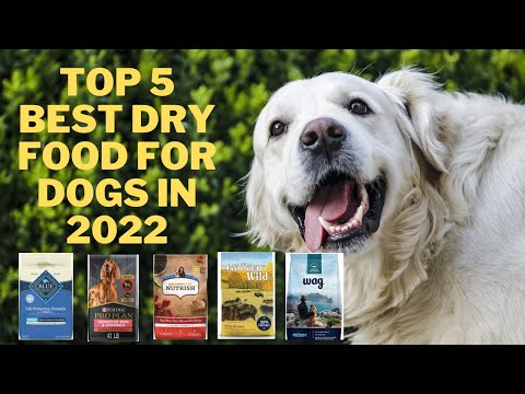 ✅ Healthy Dogs Need Good Food: The 5 Best Dry Foods For Dogs In 2022