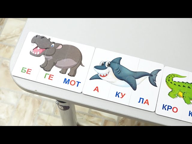 «В центре внимания»