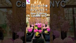 #newyork #春 #cafe #ニューヨーク #spring #カフェ #マンハッタン #springcafe #桜 #cherryblossomseason ニューヨーク春ベストカフェ4選🌸