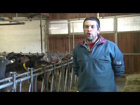 cosa pensa un allevatore del ritorno del lupo sulle alpi - Luigino Leaval