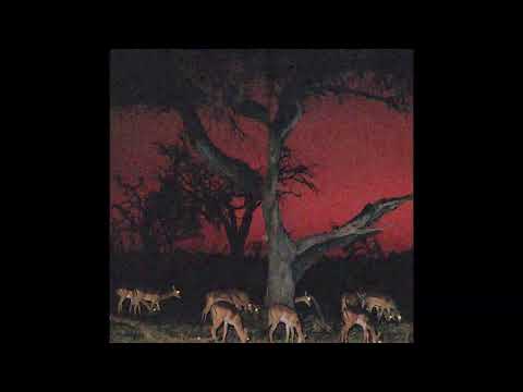 (FREE) Bushi & Laylow Type Beat - "STARS" (prod. dofla)