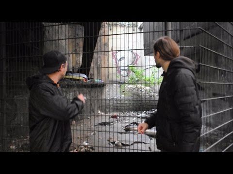 Robokrok - Grüner Bereich // Nachtschicht