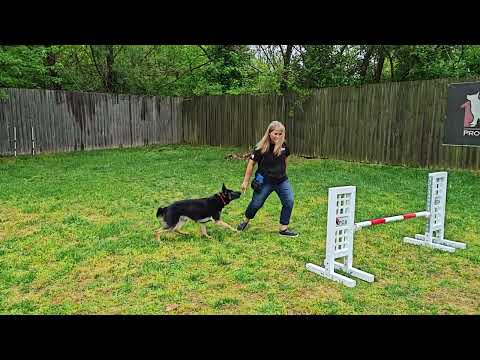 Training Day With "Duel" Outside