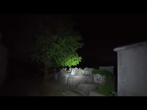 4 Verstörende Aufnahmen aus den Tiefen des Waldes