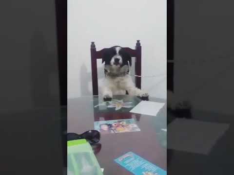 Yo también tengo derecho