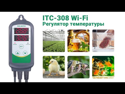 Регулятор температуры INKBIRD ITC 308 WIFI  Выпуск №676