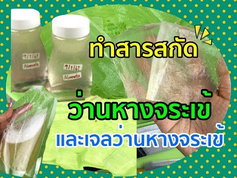 Guttate สะเก็ดเงินบนใบหน้า โรคสะเก็ดเงินโรคผิวหนังบนศีรษะ