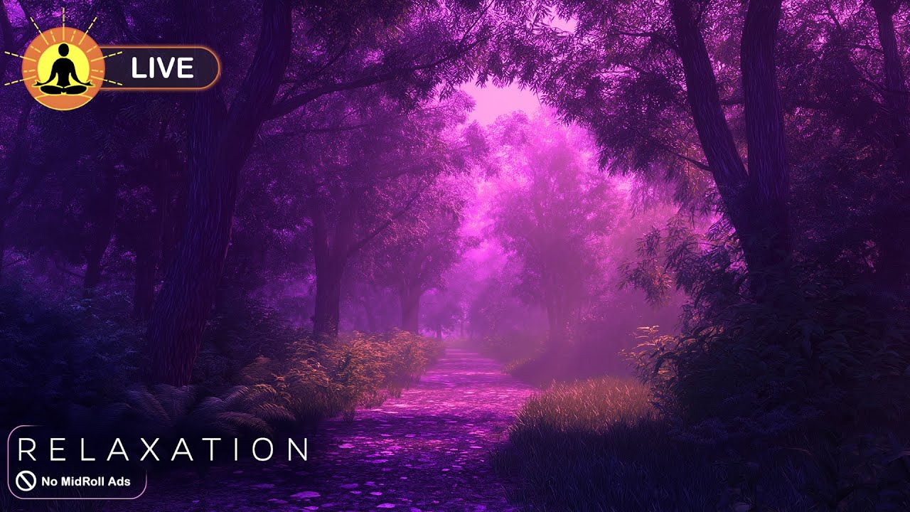 🔴 Relaxing Zen Music 24/7, Stress Relief Music, Sleep Music, Meditation Music, Study, Calming Music