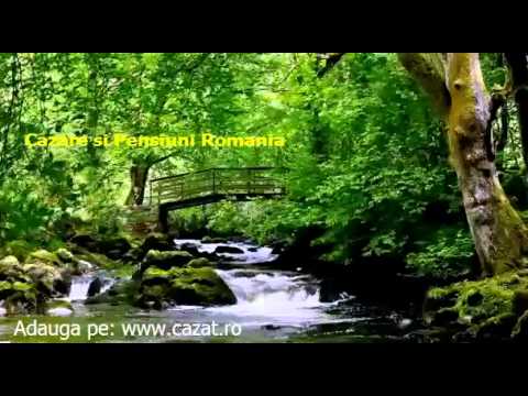 Cazare Rucar, Arges - Cazat.ro