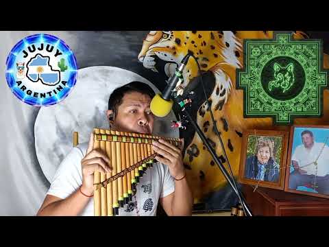 Estoy Enamorado (Thalia y Pedro Capó)/Fernando Chañi (Fraile Pintado🍅 Jujuy🌵 Argentina🇦🇷)