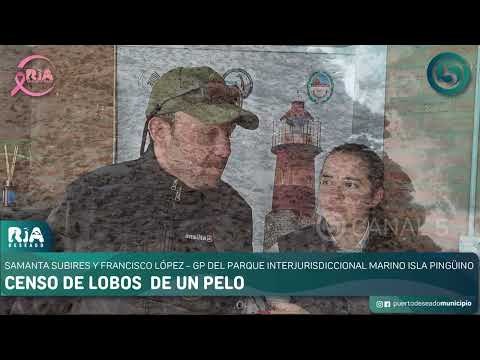 🔹Samanta Subires y Francisco López - Gp del Parque Interjurisdiccional Marino Isla Pingüino