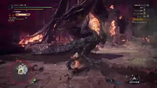 ミラボレアス練習2
