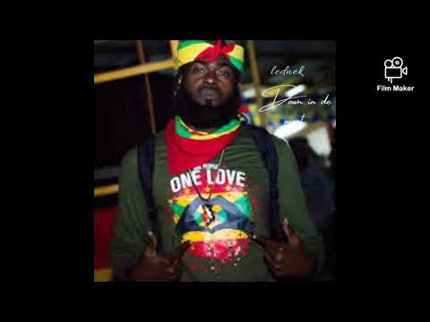 Lednek Down in De meat  2020