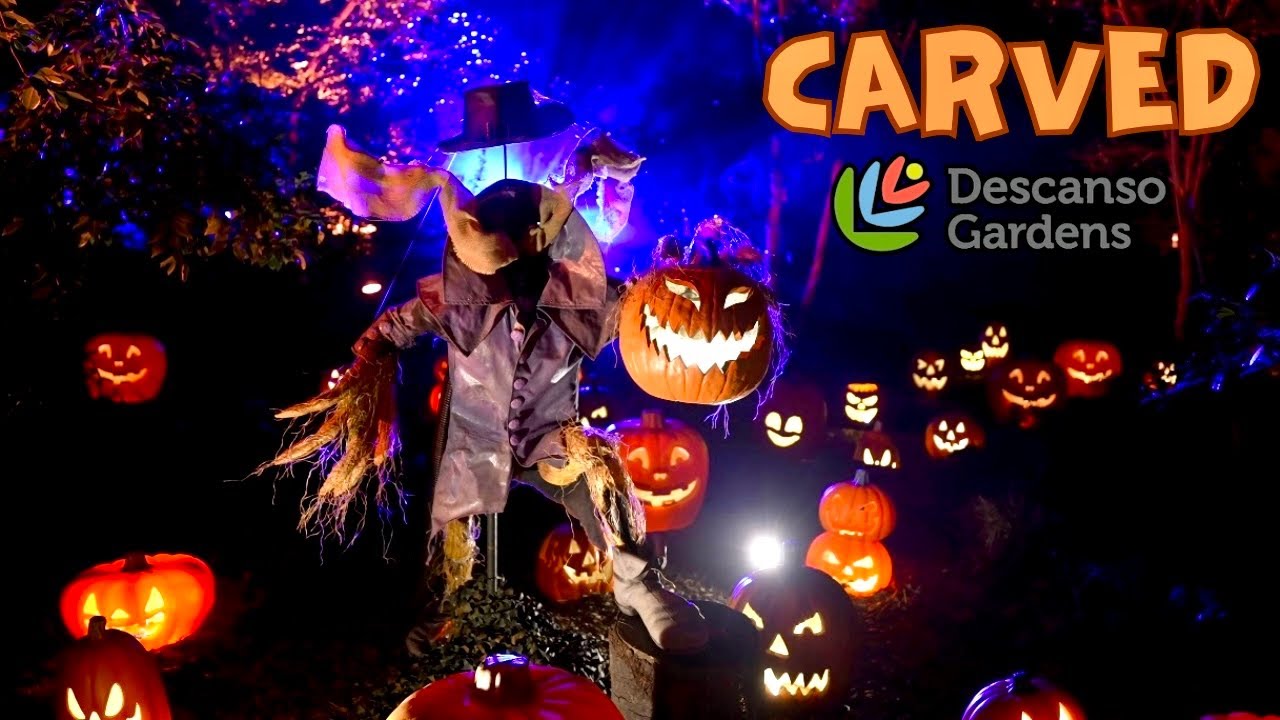 CARVED: The most beautiful spooky & pumpkin garden!