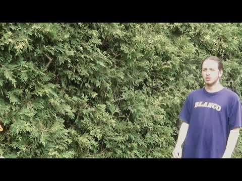 bhost - figuring things out [prod. yung biocide]