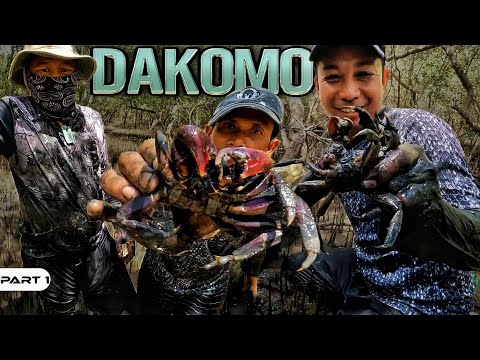 P1-Bagong Bagong Recipe sa Dakomo - EP1031