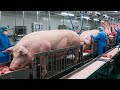 How Millions Of Pigs Are Raised & Processed Into Billions Tons Of Sausages– Pig Process In Factory