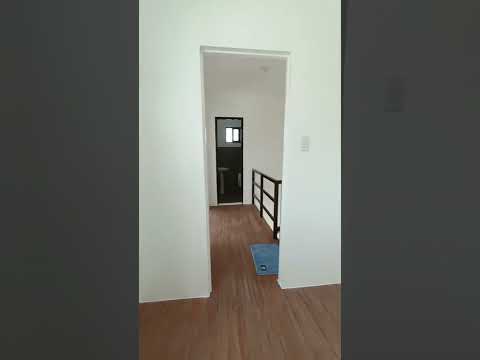 NOVA STELLA IMUS actual turn over