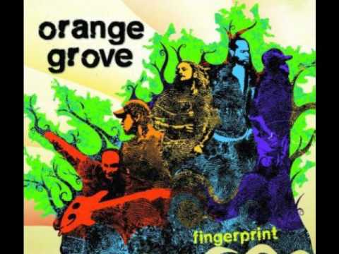 Orange Grove - Shook