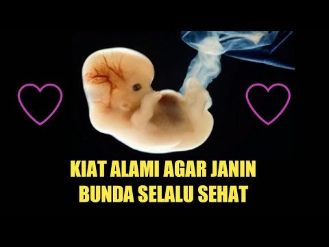 download lagu mp3 mp4 Tips Kesehatan Ibu Dan Anak, download lagu Tips Kesehatan Ibu Dan Anak gratis, unduh video klip Tips Kesehatan Ibu Dan Anak