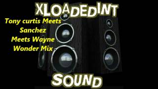 Tony Curtis Meets Sanchez Meets Wayne Wonder MIXX * Dj WRINKLES*